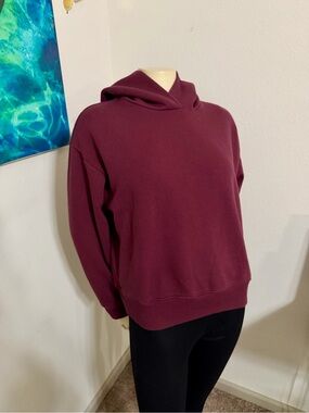 NBW! a new day Deep Berry Hooded Pullover